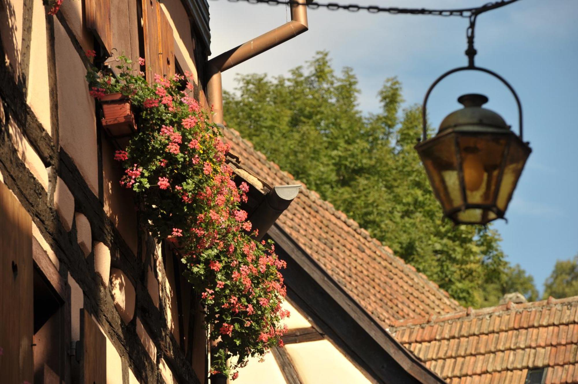 Logis Hotel Restaurant De La Poste Et Spa De Montagne Le Bonhomme Exteriér fotografie